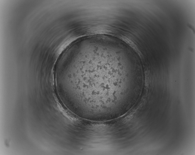 X0000101651031200807241350