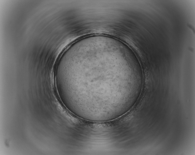 X0000101651032200807241350