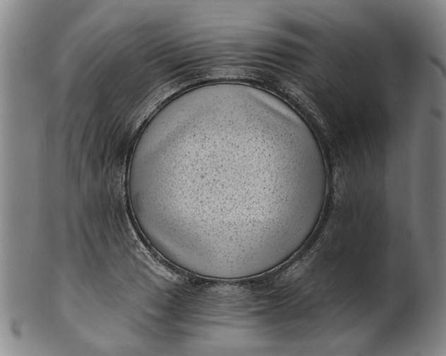 X0000101651033200807241350