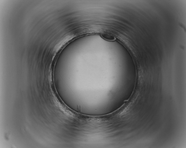 X0000101651034200807241350