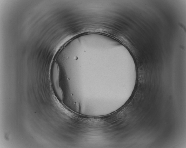 X0000101651036200807241350