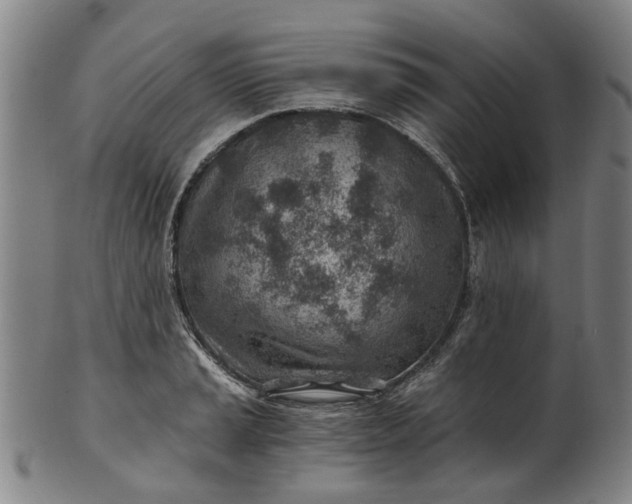 X0000101651037200807241350