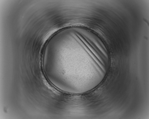 X0000101651038200807241350