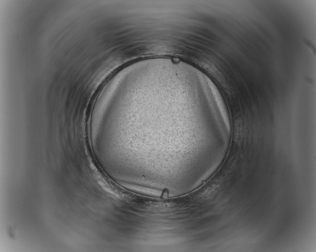 X0000101651039200807241350