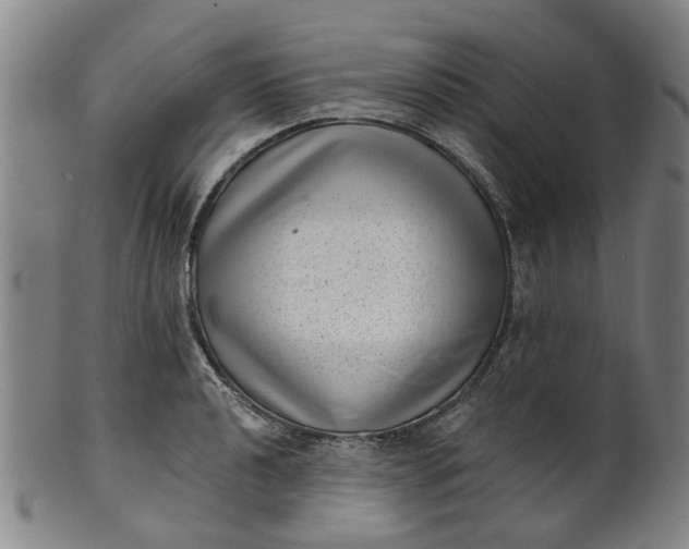 X0000101651040200807241350