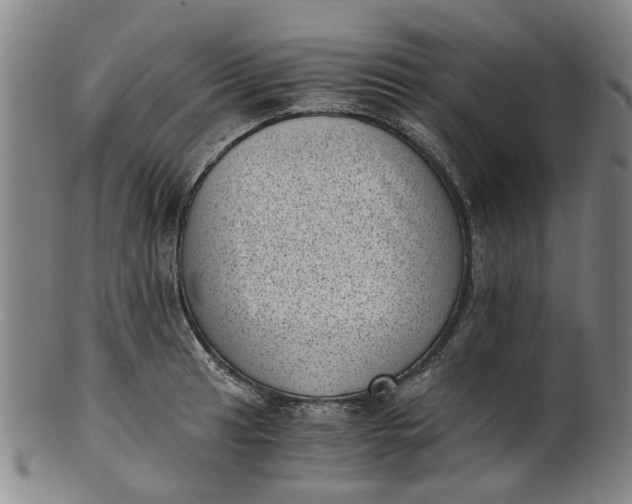 X0000101651041200807241350