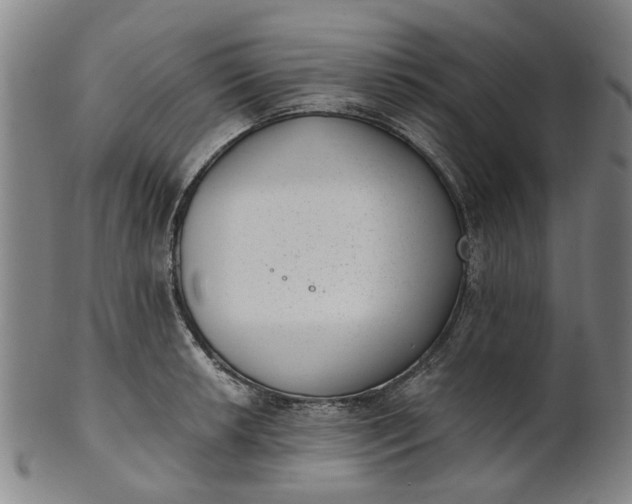 X0000101651042200807241350