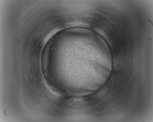 X0000101651043200807241350