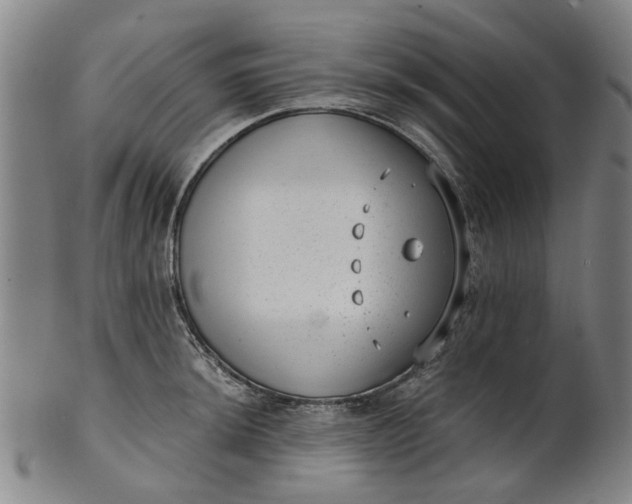 X0000101651044200807241350