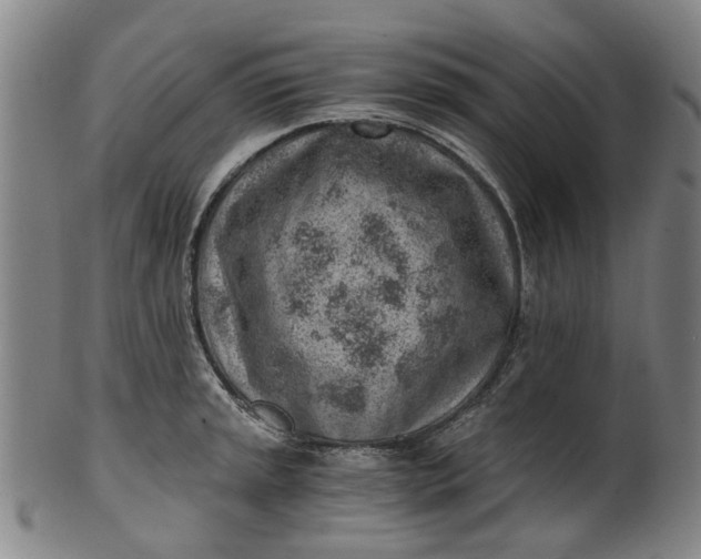 X0000101651045200807241350