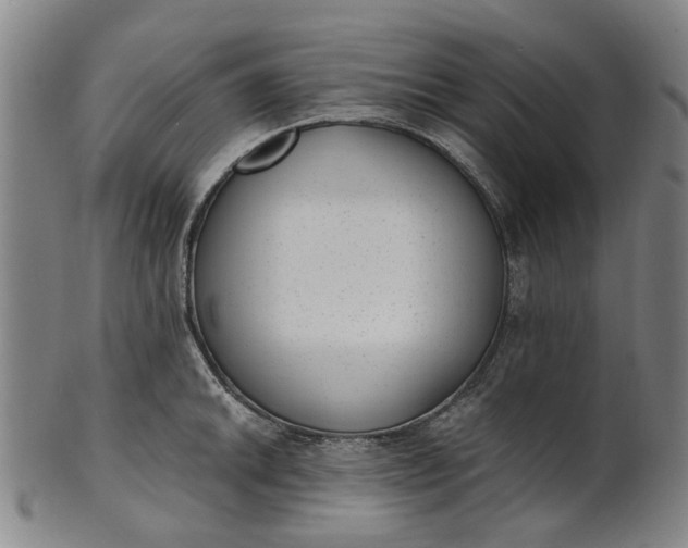 X0000101651046200807241350