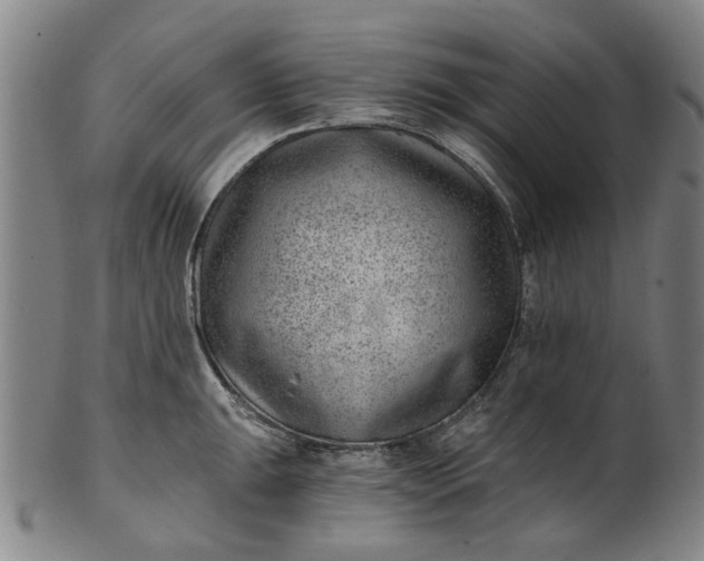 X0000101651047200807241351