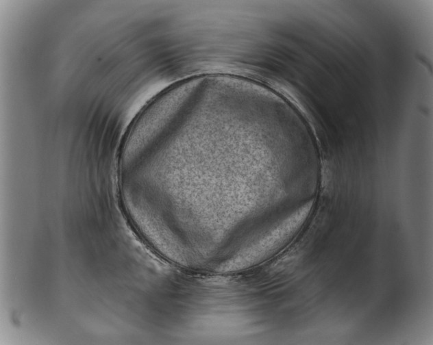 X0000101651048200807241351