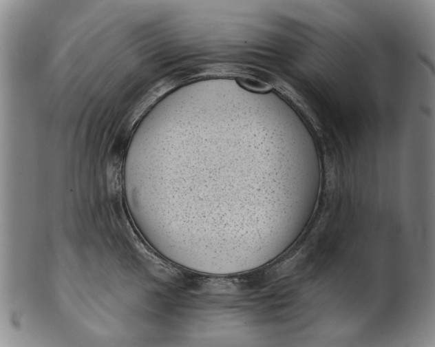 X0000101651049200807241351