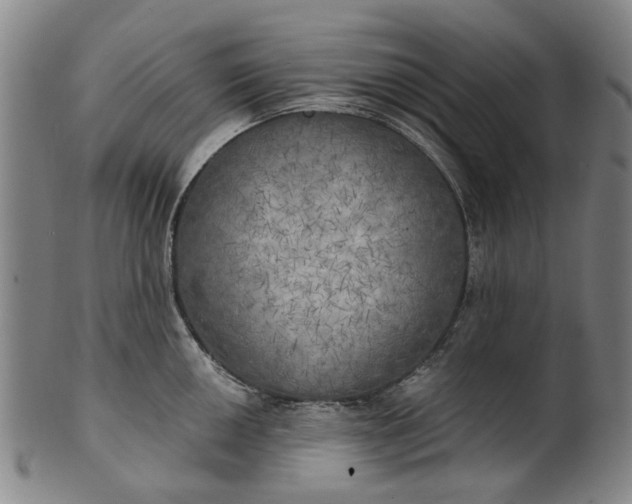 X0000101651050200807241351