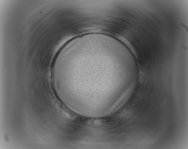 X0000101651051200807241351