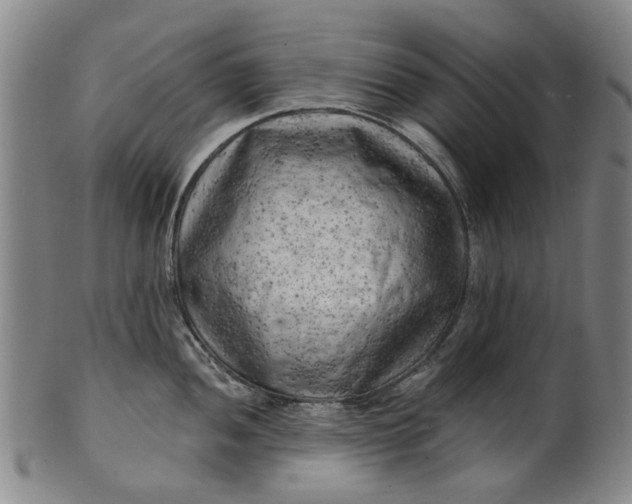 X0000101651052200807241351