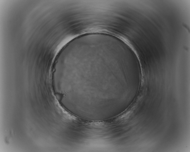 X0000101651053200807241351