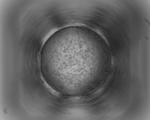 X0000101651054200807241351