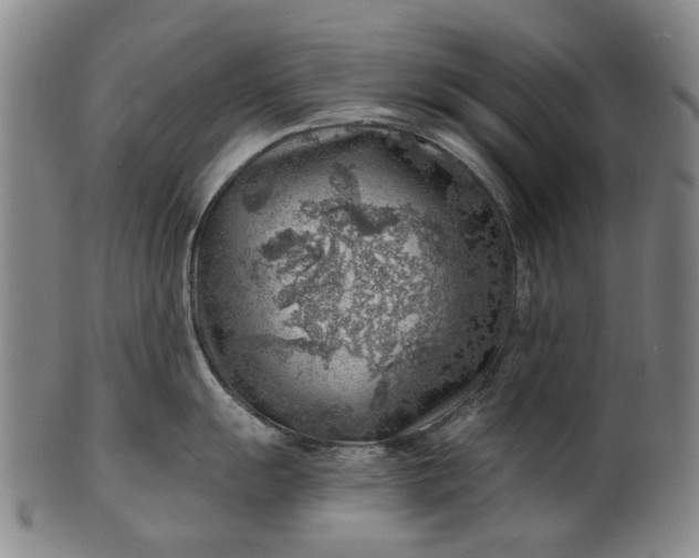 X0000101651055200807241351