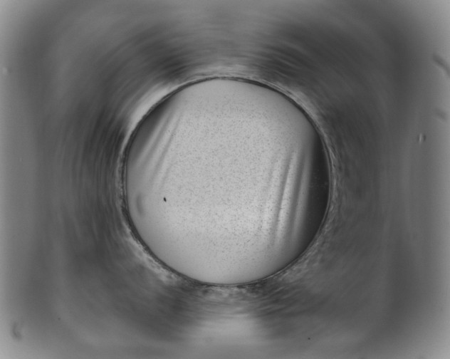 X0000101651056200807241351