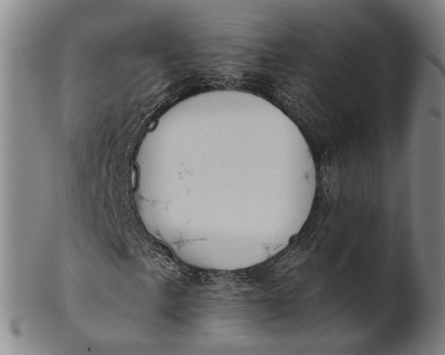 X0000101651057200807241350