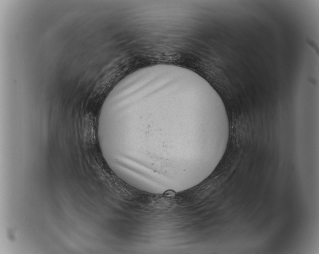 X0000101651058200807241350