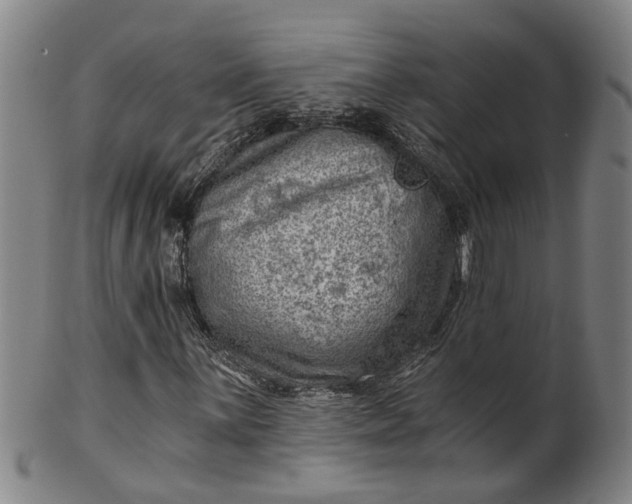 X0000101651059200807241350