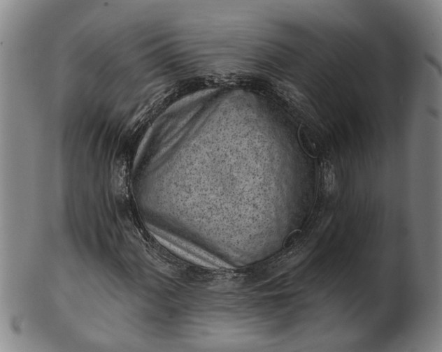 X0000101651060200807241350