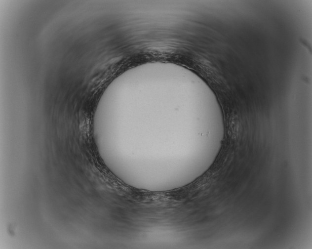 X0000101651061200807241350