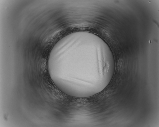 X0000101651062200807241350