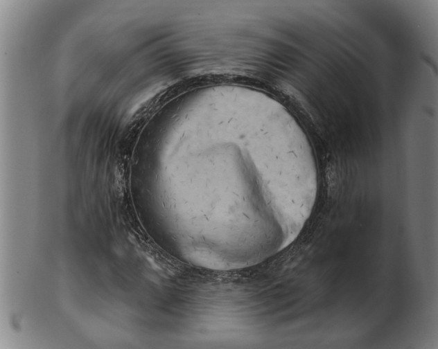 X0000101651064200807241350