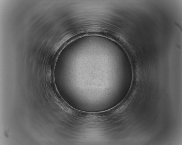 X0000101651065200807241350