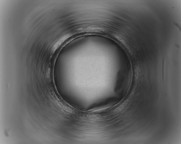 X0000101651066200807241350