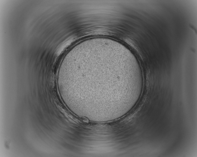 X0000101651067200807241350