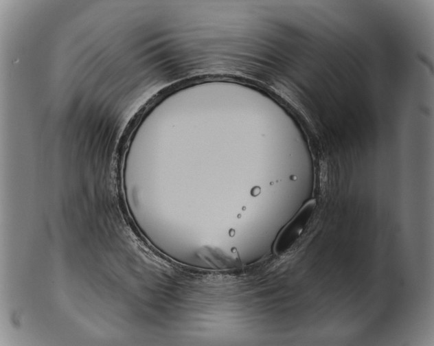 X0000101651068200807241350