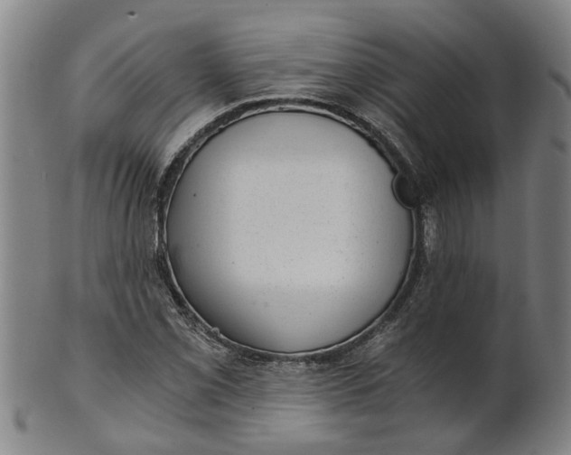 X0000101651069200807241350