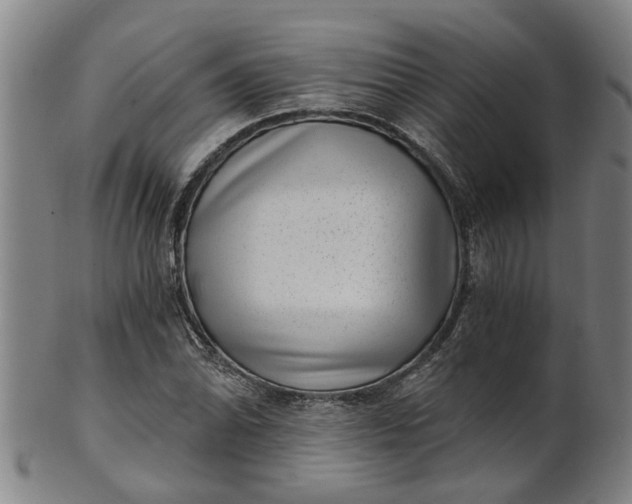 X0000101651070200807241350