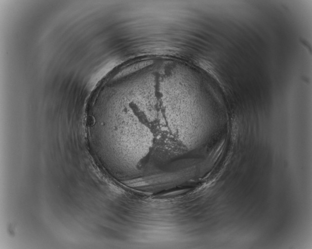 X0000101651071200807241350