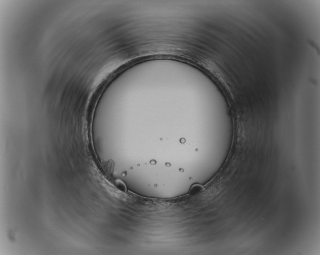 X0000101651072200807241350