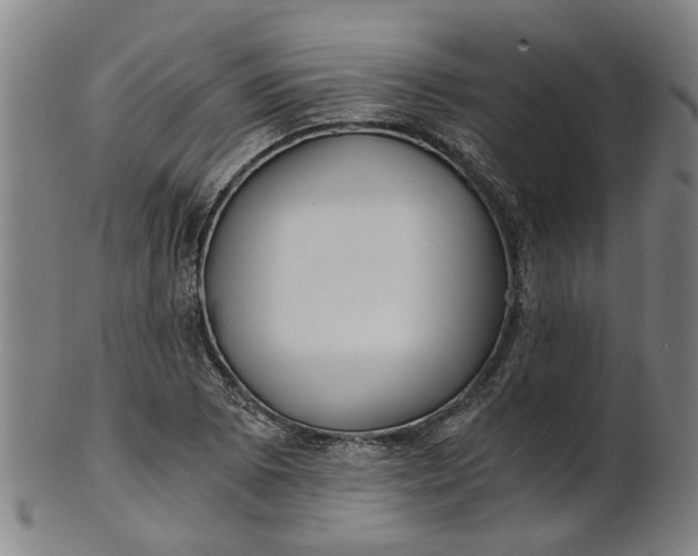 X0000101651073200807241350