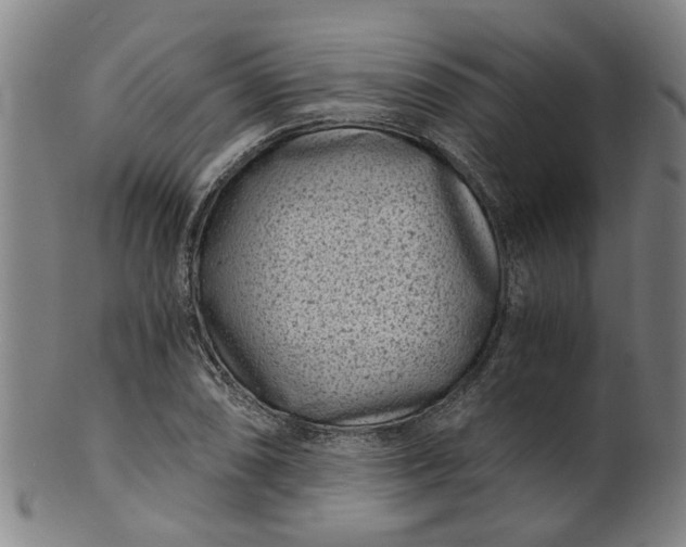 X0000101651074200807241350