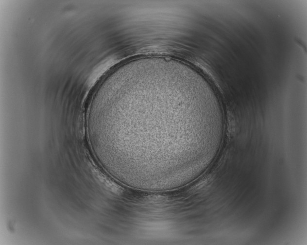 X0000101651075200807241350