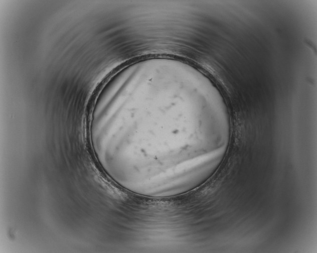 X0000101651076200807241350