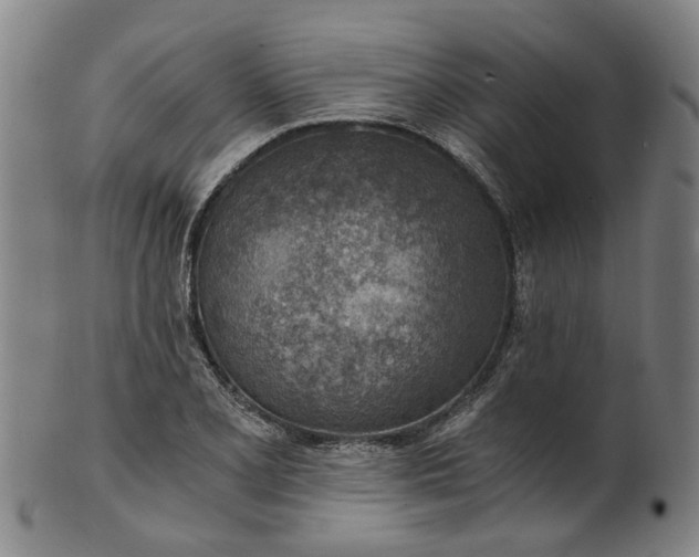 X0000101651077200807241350