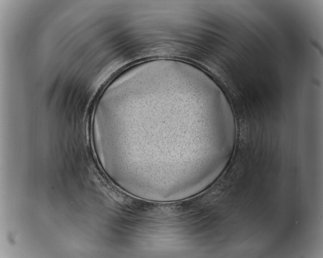 X0000101651078200807241350