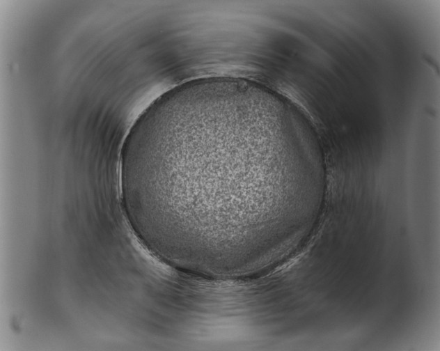 X0000101651079200807241350