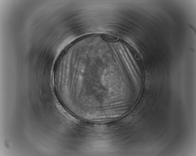 X0000101651080200807241350