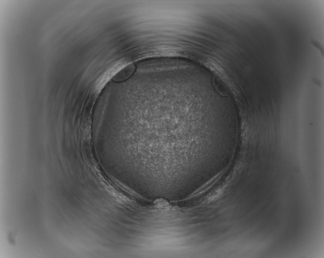 X0000101651081200807241350