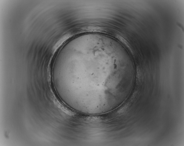 X0000101651082200807241350